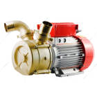 novax-bet-50-1