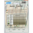 morcov-kuroda-1_1