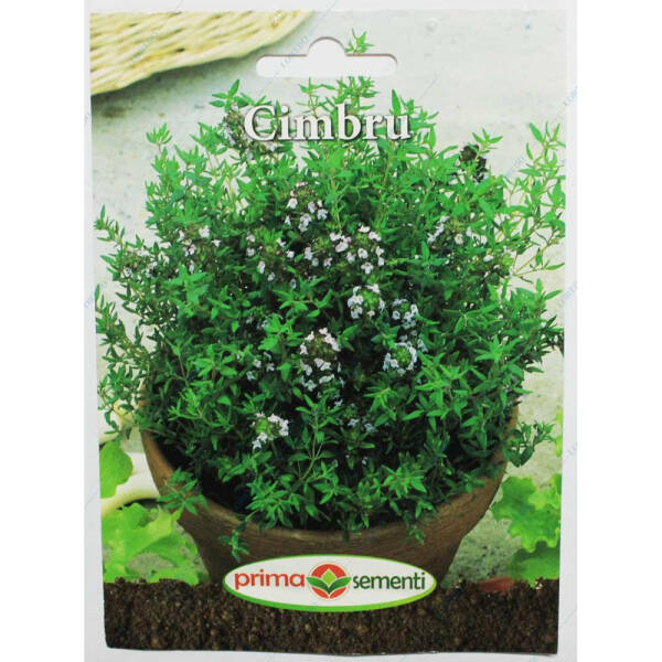 Seminte cimbru 0,6 gr, Prima Sementi