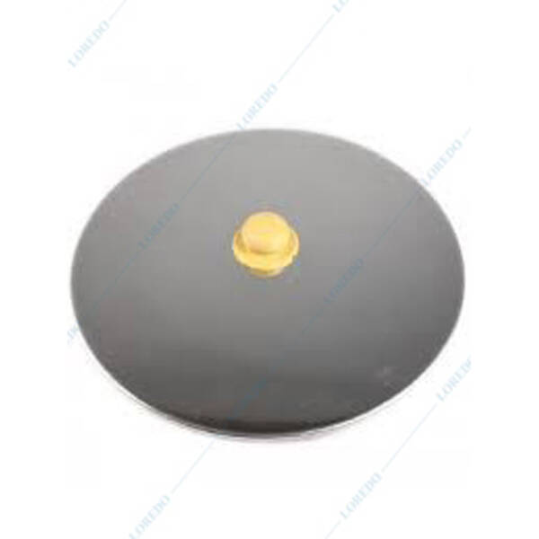 Capac praf cisterna inox Eco 100 L