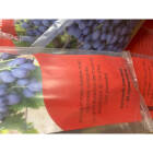 image5_1