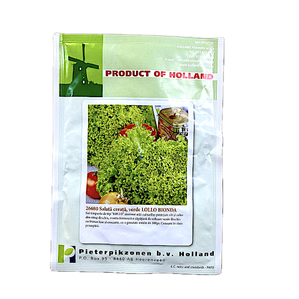 Seminte salata creata verde Lollo Bionda 10 gr, Holland