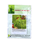 seminte salata creata verde lollo bionda holland 1