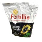 floarea soarelui fd