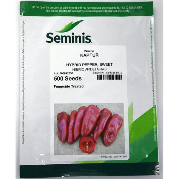 Seminte ardei Kaptur F1 500 sem, Seminis