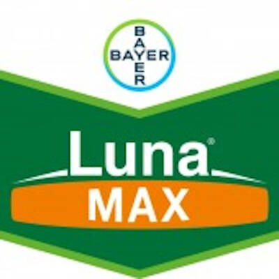 LUNA MAX 275 SE 10 ML