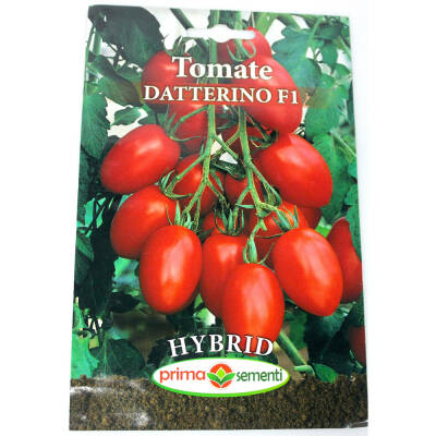 Seminte tomate Datterino F1