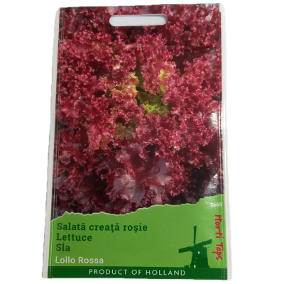 Seminte salata Lollo Rossa 2 gr, Holland