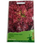 WhatsApp Image 2025-04-04 at 14.56.08