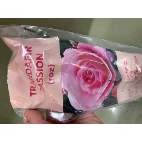 Butas Trandafir Passion Roz