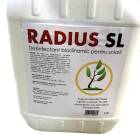 radius sl 2