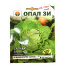 salata iarna 