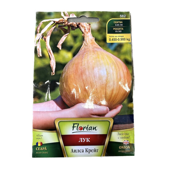 Seminte ceapa Ailsa Craig 1,5 gr, Florian Bulgaria