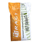 Floarea soarelui RAGT Sikllos F 1