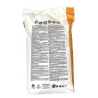 Floarea soarelui RAGT Sikllos F 2