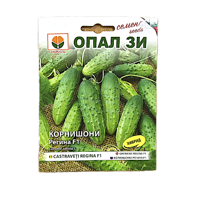 Seminte castraveti cornison Regina F1 2 gr, OpalZi Bulgaria