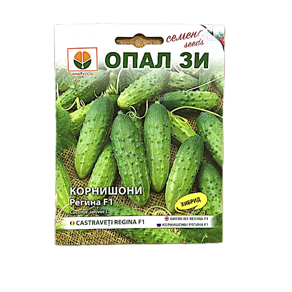 Seminte castraveti cornison Regina F1 2 gr, OpalZi Bulgaria