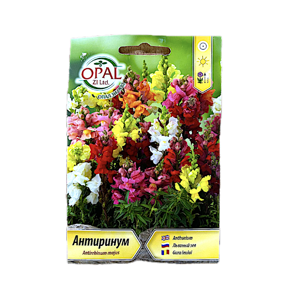 Seminte flori Gura Leului 0,5 gr, OpalZi Bulgaria