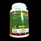 geliasol 25-25-25 1 kg 1