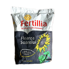 floarea soarelui FD18CL58 1