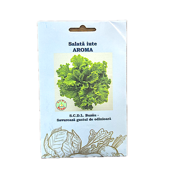 Seminte salata iute Aroma 5 gr, SCDL Buzau