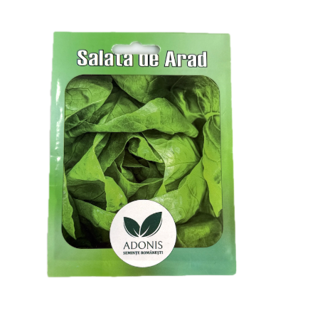 Seminte salata de Arad 5 gr, Adonis