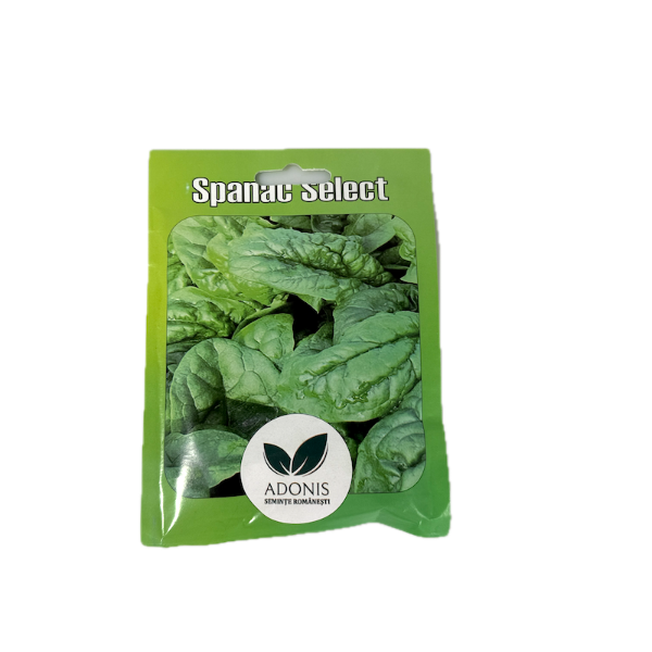Seminte spanac Select 15 gr, Adonis