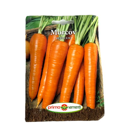 Seminte morcov Berlicum 5 gr, Prima Sementi