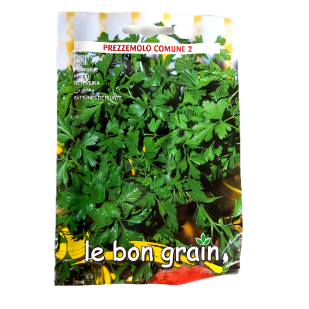 Seminte patrunjel Frunza Comuna 13 gr, Le Bon Grain