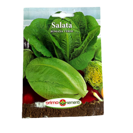 Seminte salata Romana Verde 3 gr, Prima Sementi